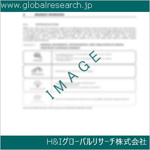 グローバルリサーチ調査資料のイメージ